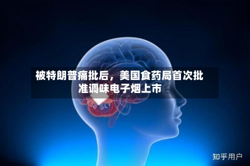 被特朗普痛批后，美国食药局首次批准调味电子烟上市-第2张图片