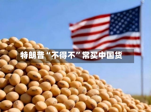 特朗普“不得不”常买中国货-第2张图片