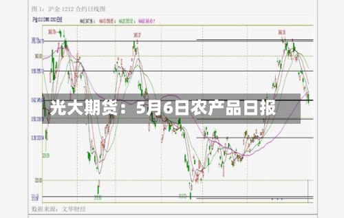 光大期货：5月6日农产品日报-第3张图片