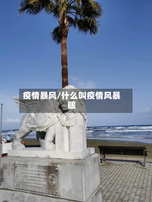 疫情暴风/什么叫疫情风暴眼