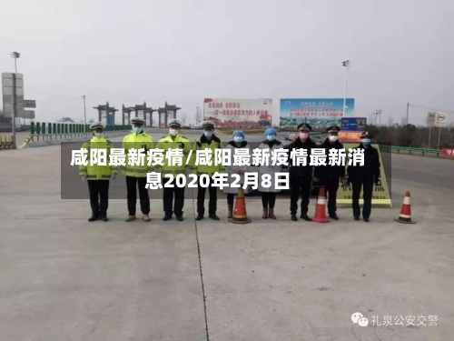 咸阳最新疫情/咸阳最新疫情最新消息2020年2月8日-第3张图片