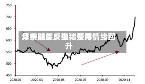 华泰期货：生猪费用月中触底反弹	，整体情绪回升-第2张图片