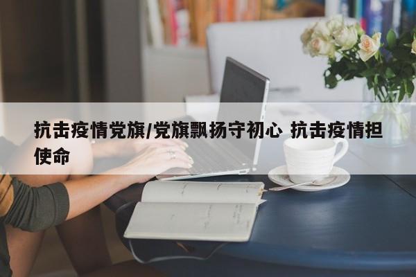 抗击疫情党旗/党旗飘扬守初心 抗击疫情担使命