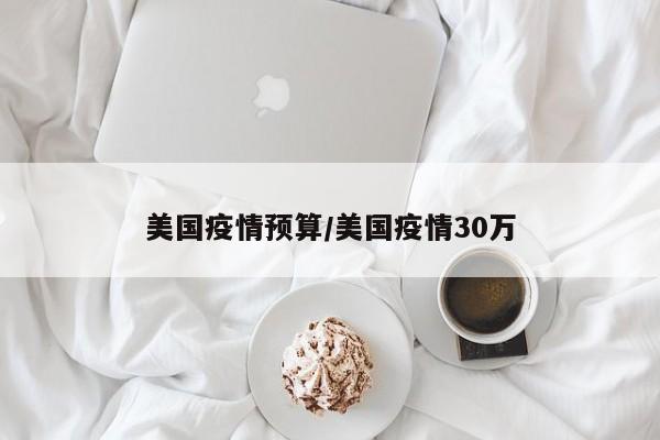 美国疫情预算/美国疫情30万