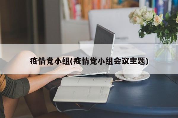 疫情党小组(疫情党小组会议主题)